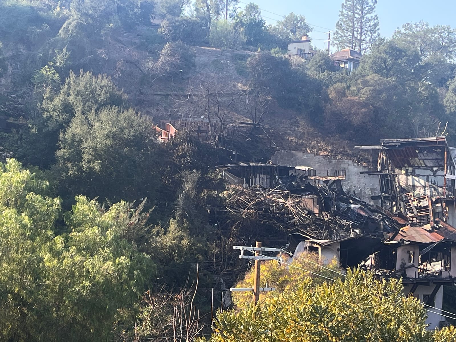 Burned hillside homes and trees after the Sunswept Fire in Studio City.