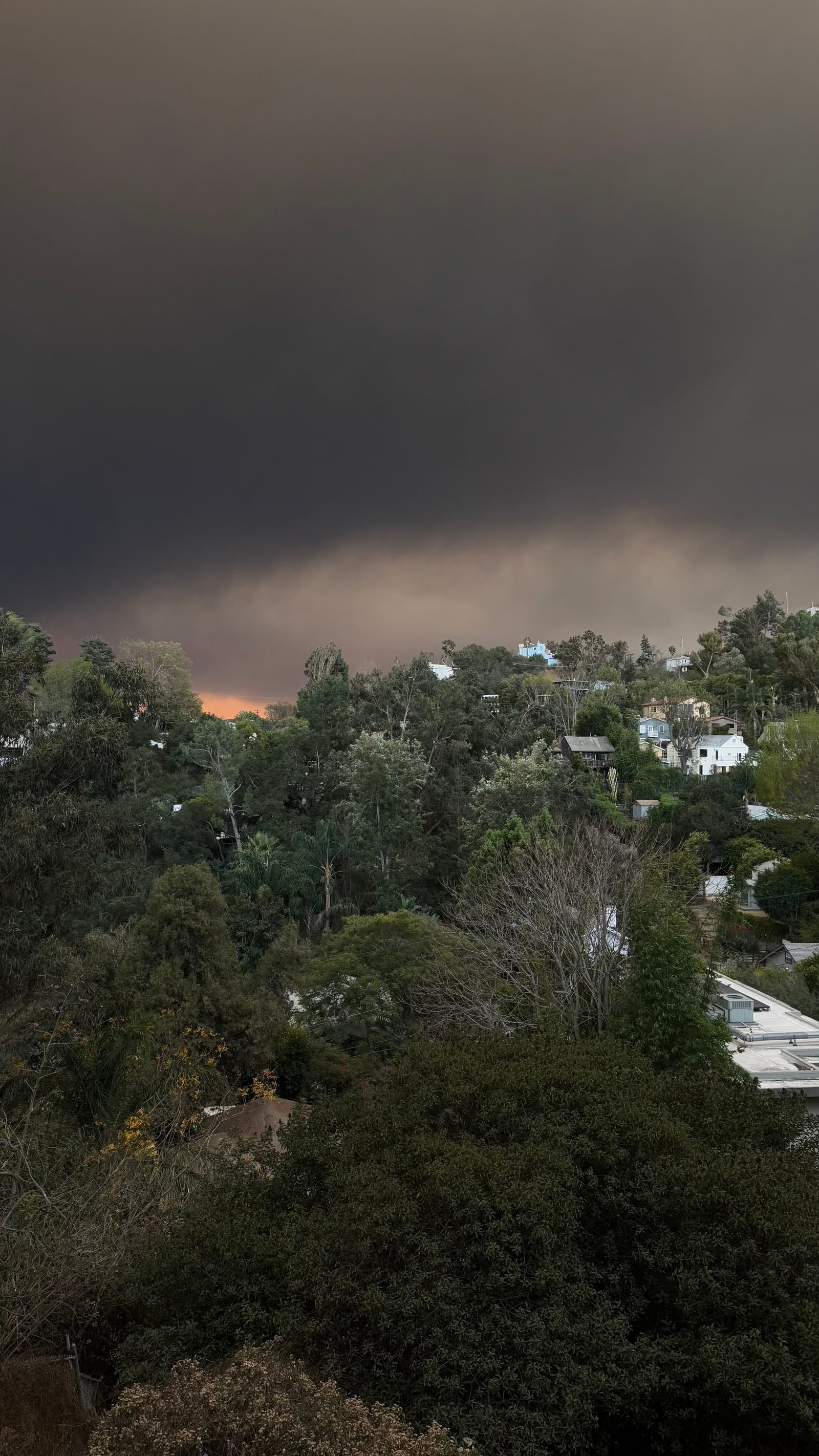 Dark smoke plume rising over hillside trees during the Pacific Palisades fire.